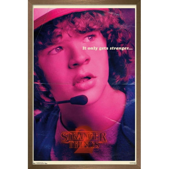 Netflix Stranger Things: Season 2 - Dustin Wall Poster, 22.375" x 34", Framed