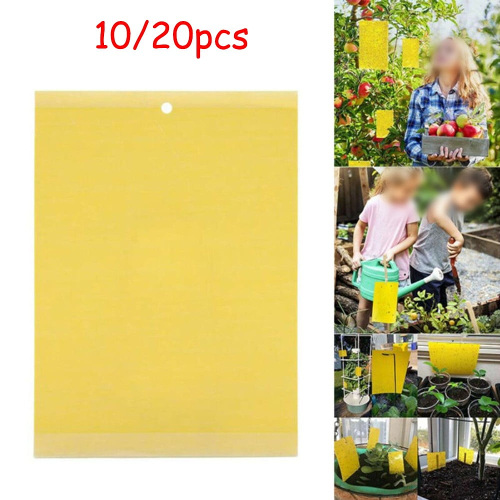 10pc Sticky Fly Trap Paper Yellow Traps Fruit Flies Insect Glue Catcher Set 
