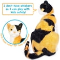 thumbnail image 4 of Catalina El Gato Calico 32cm Peluche Tiger Tale Toys viaplu1011, 4 of 6