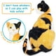 thumbnail image 4 of Catalina El Gato Calico 32cm Peluche Tiger Tale Toys viaplu1011, 4 of 6