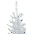 thumbnail image 3 of Northlight Pre-Lit Slim Woodbury White Pine Artificial Christmas Tree - 4' - Blue Lights, 3 of 6