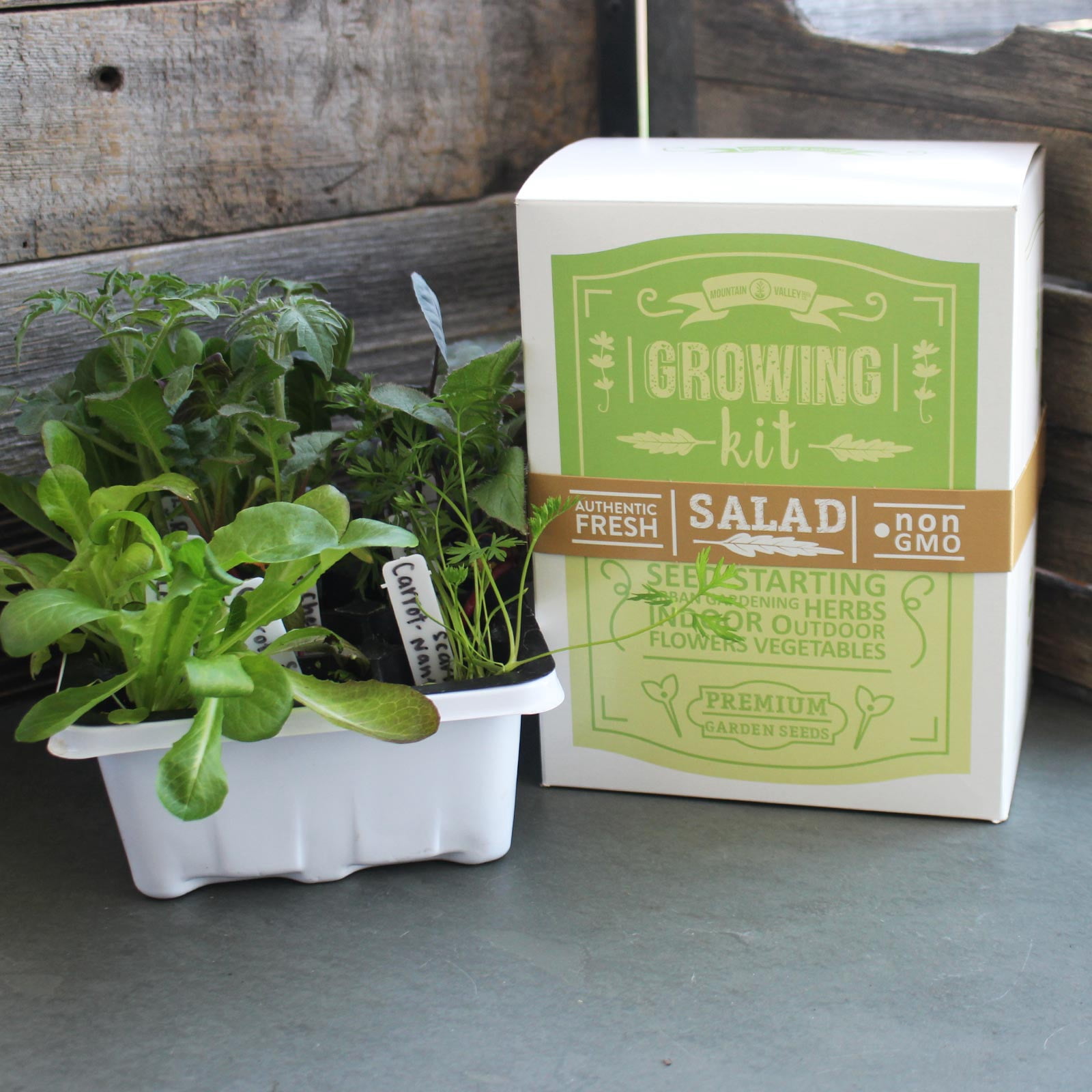 Mountain Valley Seed Company Gardening Seed Starter Kit with 6 Non-GMO Varieties (6 Count)