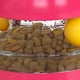 thumbnail image 4 of Juguete láser interactivo para gatos de interior, juguete láser automático para gatos USB, 4 of 5