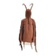 thumbnail image 2 of Disfraz de Cucaracha para Niños, Ideal para Cosplay, para Fotografía Y Fiestas de Máscaras., 2 of 7