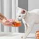 thumbnail image 4 of Paquete de 4 suministros para latas de comida para mascotas, juego de cubiertas de silicona para latas de mascotas, tapas y cucharas para latas de comida para perros y gatos TUNC Sencillez, 4 of 5