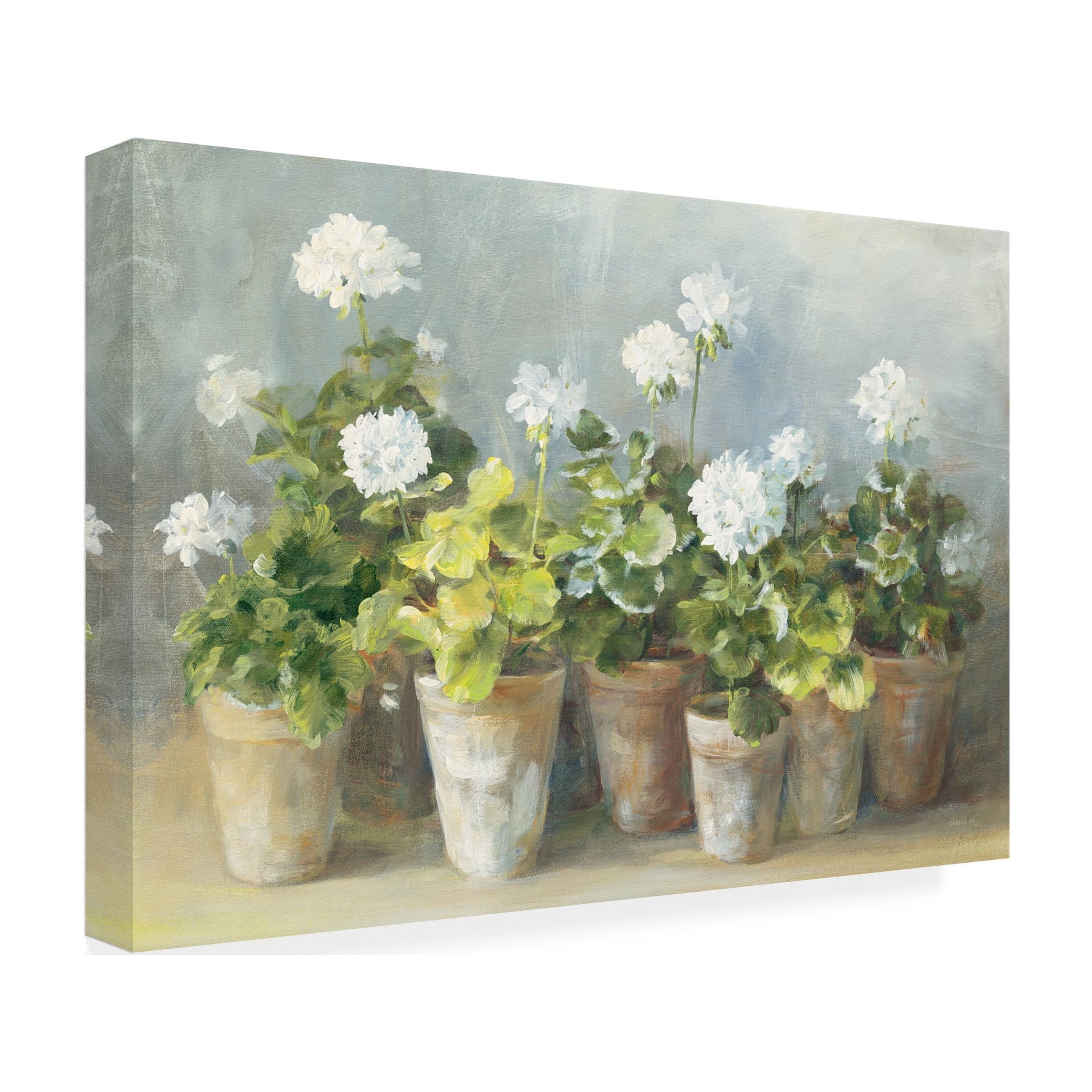 Trademark Fine Art Danhui Nai White Potted Geraniums Canvas Wall Art - 16x24
