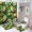 Green Fruits and Birds 3, variant on Bathroom Rugs Sets 4 Piece with Shower Curtain, Green Leaf Pattern Printed on Bathroom Decor Sets with Shower Curtains and Rugs, Great for Master Bath Beach House Modern Home, 72 x 72 inches