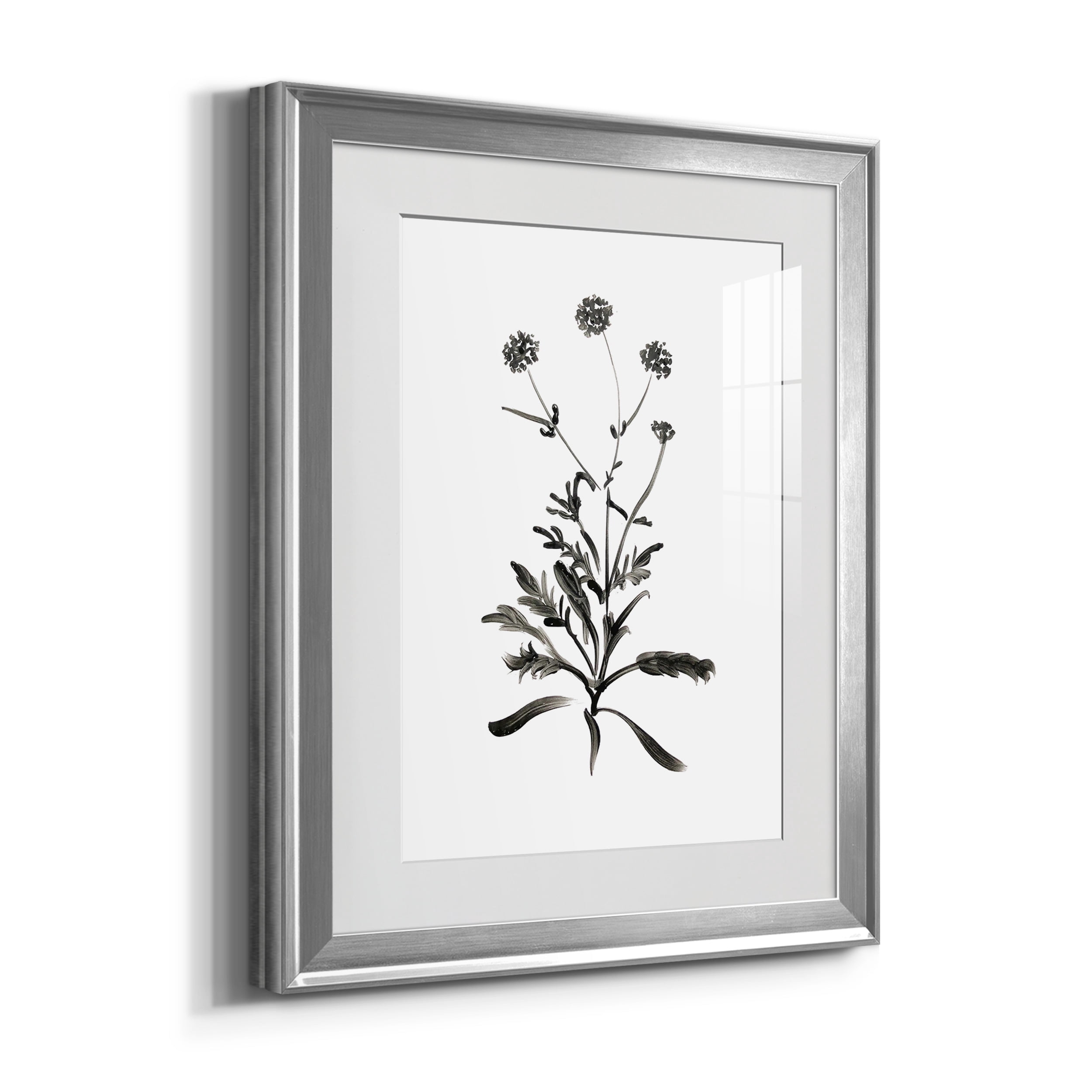Inky Botanical I Premium Framed Prints Set of 3 - Ready to Hang - 18 x 24 Each - Silver Frame