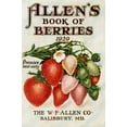 thumbnail image 2 of Posterazzi DPI12272558 Historic Allens Book of Berries with Illustration of Strawberries From 20th Century Poster Print - 12 x 19 in., 2 of 4