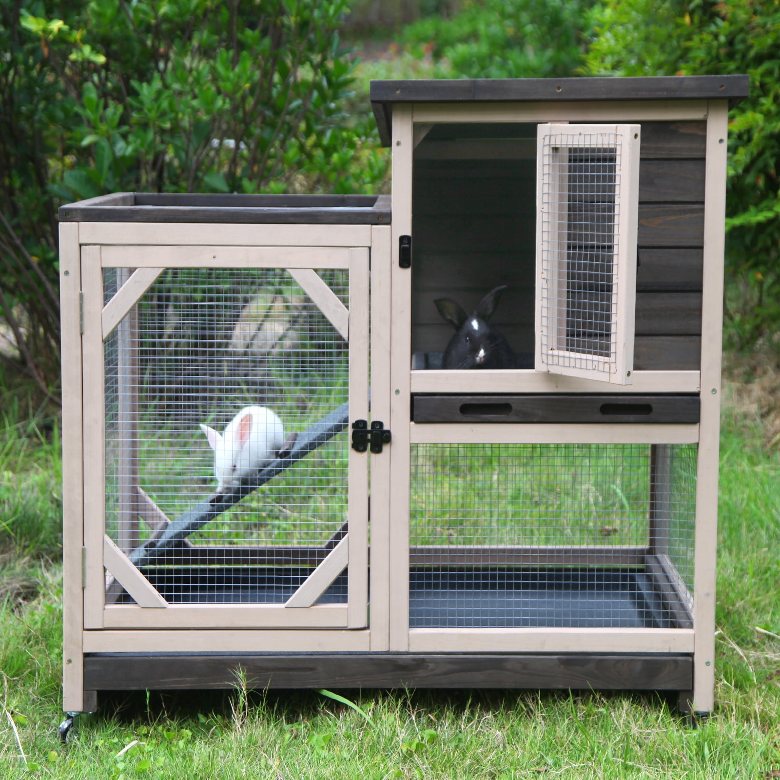 best bunny cage
