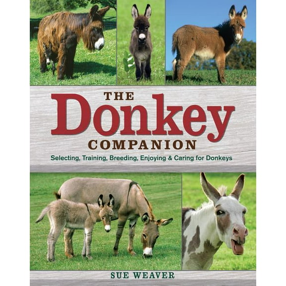 Donkey Companion - Paperback