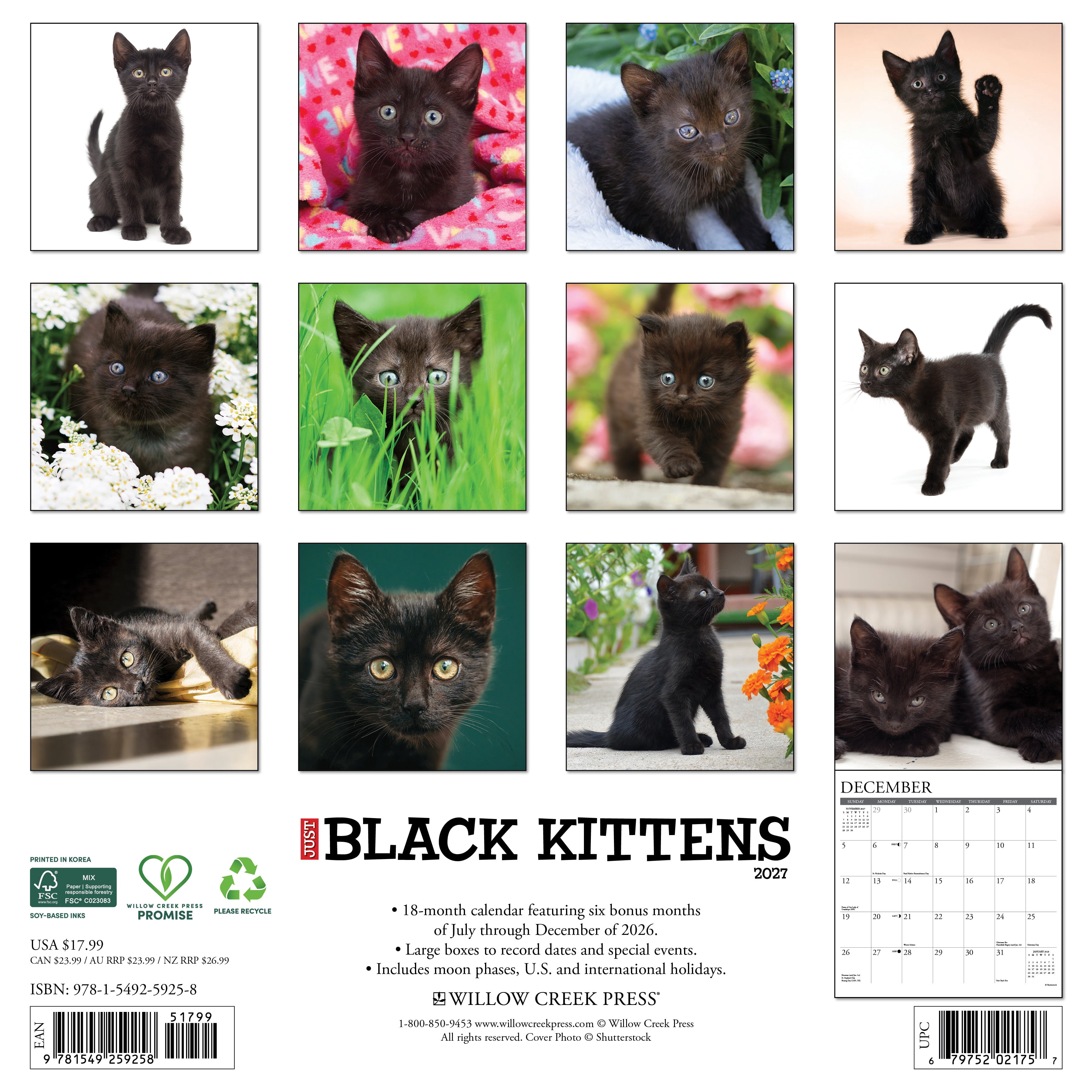 Willow Creek Press, Black Kittens 2027 Wall Calendar