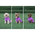 thumbnail image 4 of Chaleco polar Jacko & Co para perros de tamaño mediano, color morado, 4 of 8