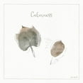 thumbnail image 3 of Gango Home Decor Shabby-Chic A Woodland Walk XX & XXI by Lisa Audit (Ready to Hang); Two 12x12in Brown Framed Prints, 3 of 5