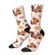 thumbnail image 1 of Fotbe Forest Squirrel Nuts Calcetas Largas con Estampado para Hombre y Mujer – Calcetas de Compresión Transpirables y Elásticas, Viajar y Uso Diario Talla 5-11, 1 of 6