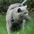 thumbnail image 6 of Summer Cat Chest Cover With Leg Guards Escape Adjustable Soft Mesh Vest For All Types Of Cats, 6 of 7