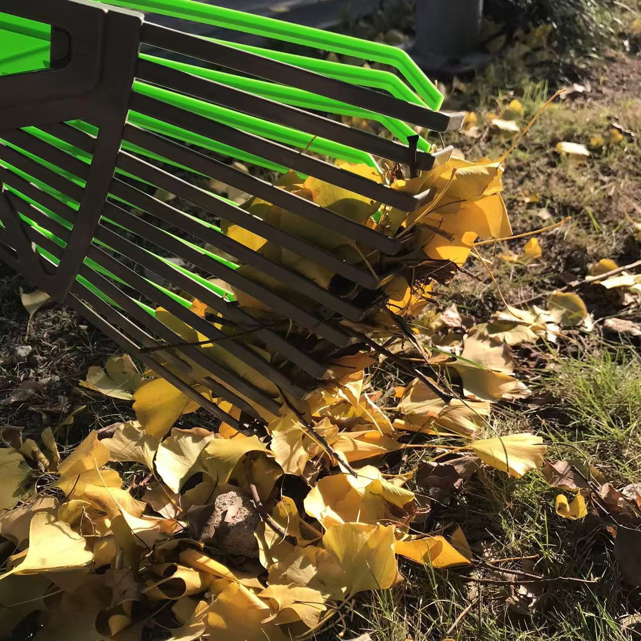2-in-1 Handheld Garden Tool with Long Handle Extension, Leaf Rake and Grabber Combo, Adjustable Tine Rake for Yard Lawn Cleanup
