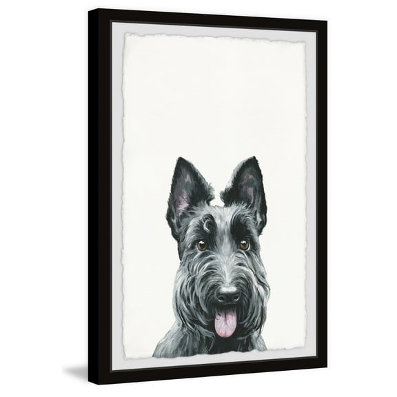 Marmont Hill Printed Animals & Insects Framed Art Prints, by Parvez Taj