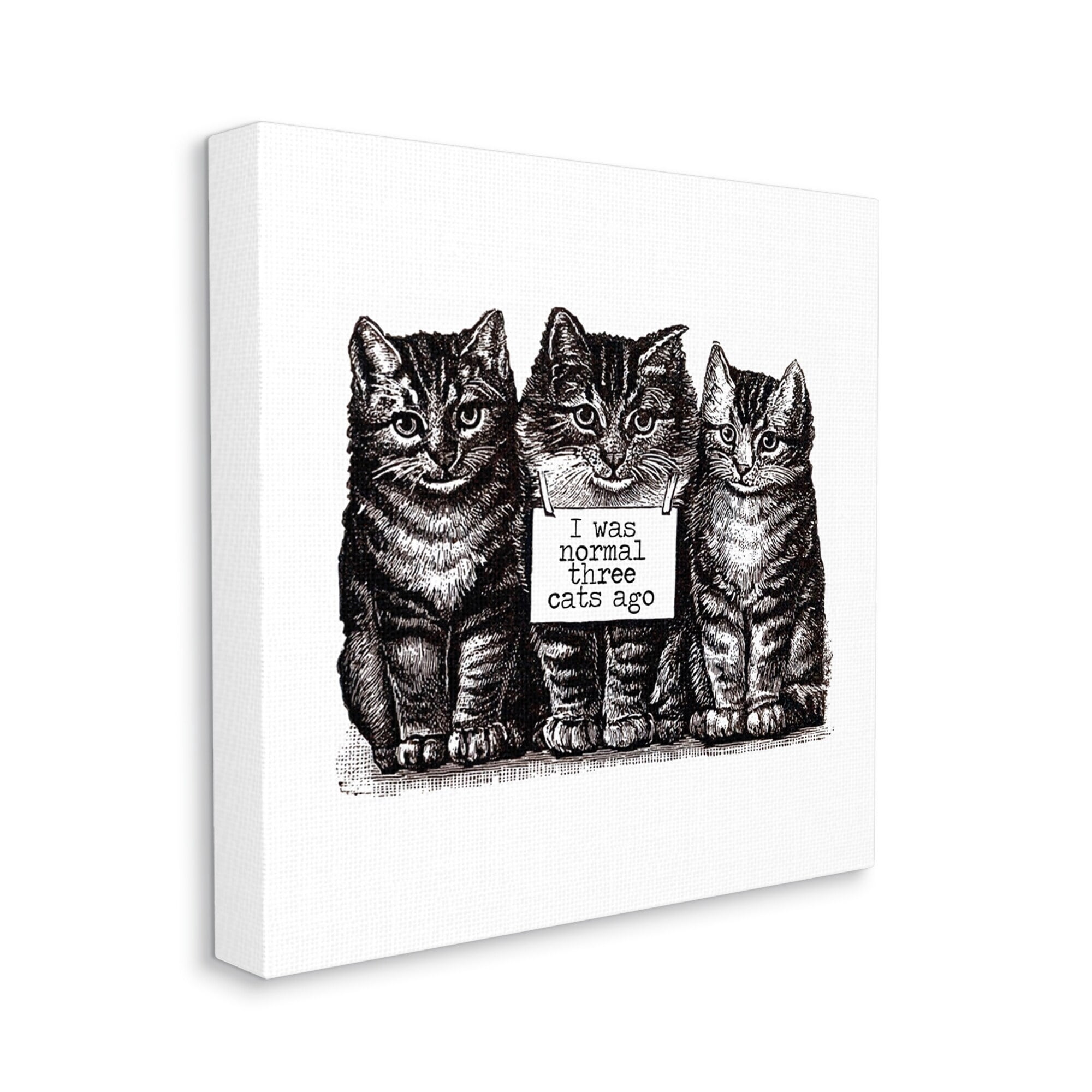 Stupell Industries Normal Three Cats Ago Phrase Monochrome Sign Canvas Wall Art, 17 x 17, Design by Amy Brinkman