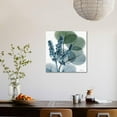 thumbnail image 5 of Lilly of Eucalyptus, Botanical Stretched Canvas Wall Art by Albert Koetsier  Sold by ArtCom, 5 of 5