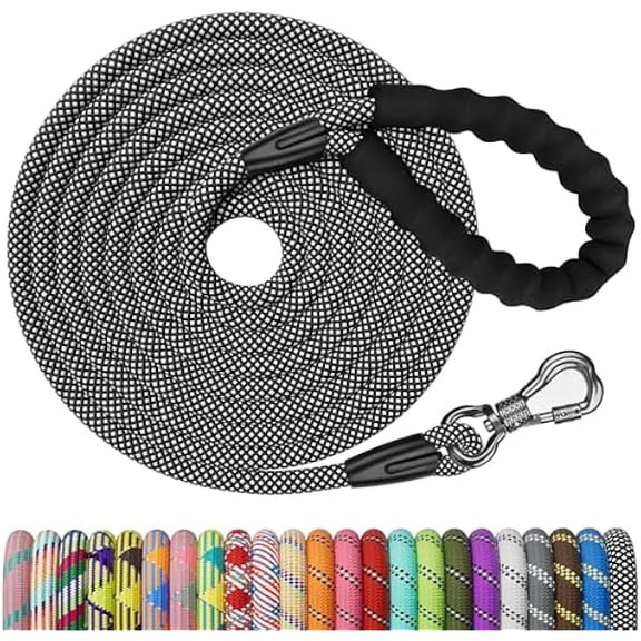 Eryueer Heavy Duty Dog Leash, Black 10MM 15FT Training Leash with Swivel Lockable Hook and Comfortable Padded Handle, Dog Lead for Walking, Hunting, Camping, Backyard for Small Medium and Large Dogs