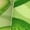 2 Black-1, variant on Green Avocado Print Adult Socks for Men & Women,Calf Socks, Ankle Socks,Boots Socks,Breathable Casual Sock,Unisex Crew Socks