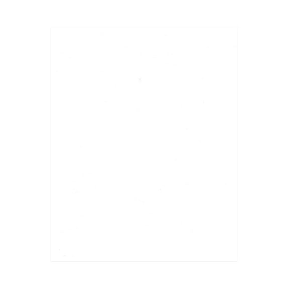 Smooth White 16x20 Backing Board - Uncut Photo Mat Board