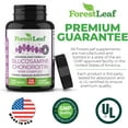thumbnail image 3 of Forest Leaf Glucosamine Chondroitin & MSM Complex Joint Support Supplement, 120 Capsules, 3 of 9