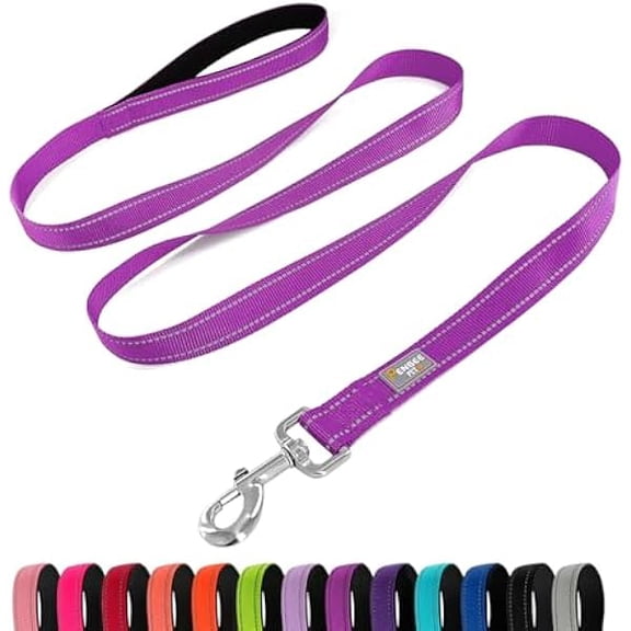 Eryueer Reflective Dog Leash 6 FT Padded Handle Nylon Dogs Leashes for Medium Dogs Dark Magenta