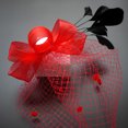 thumbnail image 3 of D-GROEE 2PCS Women Retro Wedding Bow Feather Veil Fascinator Mesh Lace Headband Tea Party Fascinator, 3 of 7
