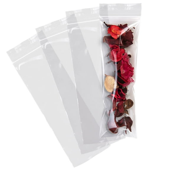 Clear Plastic Reclosable Zipper Bags, 2 Mil Poly Jewelry Bags, 1000 Count, 3 x 10 in