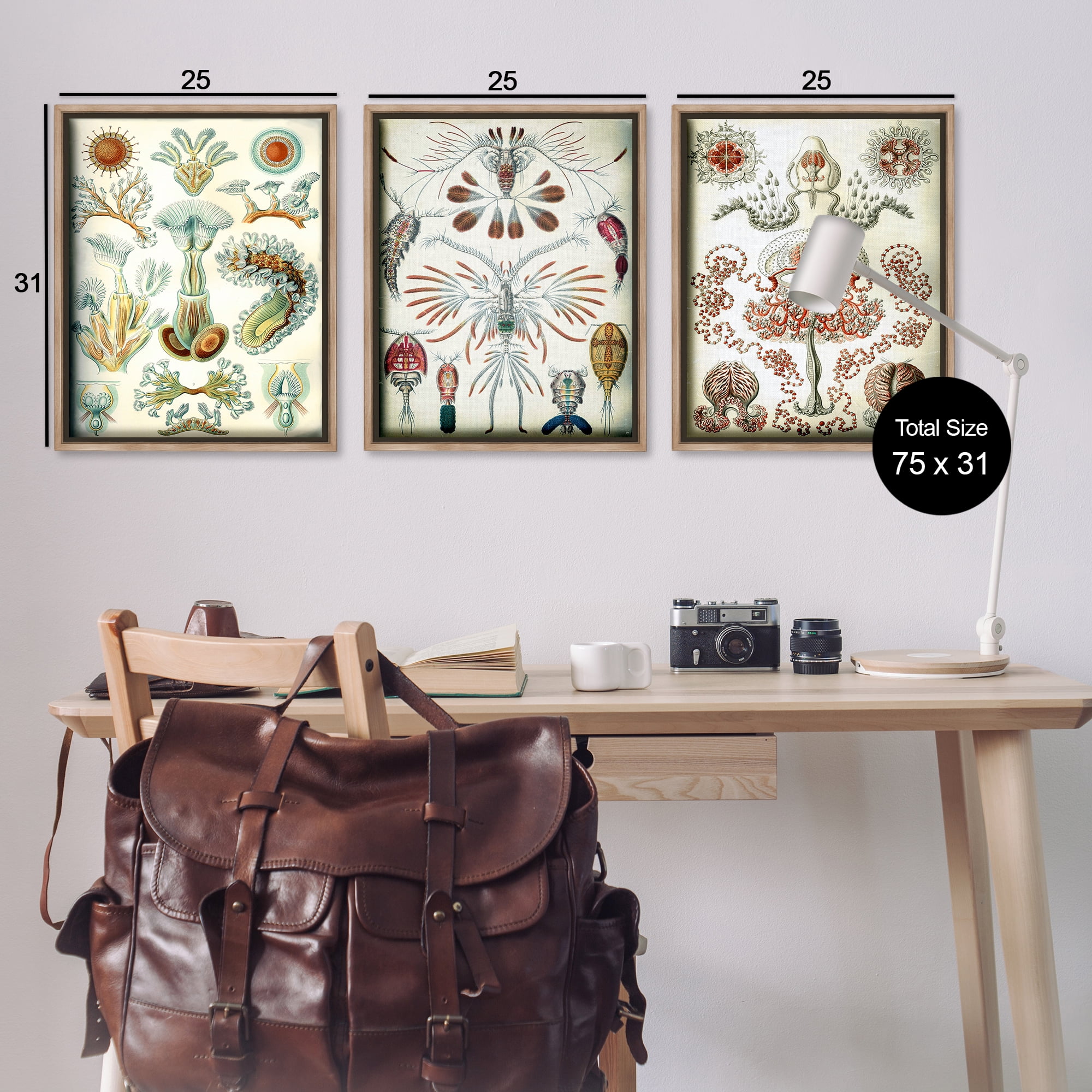 Stupell Industries Vintage Microscopic Crustaceans Animals Painting Brown Floater Framed Canvas Art Print Wall Art, 25 x 31, Set of 3