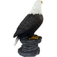 thumbnail image 3 of Ebros- Liberty - Bald Eagle sur Roche Statue Figurine Bureau Hauteur 9 Pouces Déco, 3 of 4