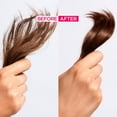 thumbnail image 3 of L'Oreal Paris Hair Expertise Dream Lengths, 3 of 7