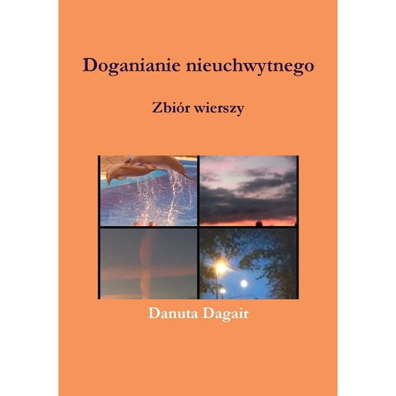 Doganianie nieuchwytnego, (Paperback)