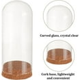 thumbnail image 3 of 1 pc Glass Display Dome Cloche 2.56x6.02 Inch Cloche Bell Jar Terrarium with Cork Base Decorative Display Dome Case for Plants Flower Christmas Display Decoration Clear 1 pc, 3 of 7