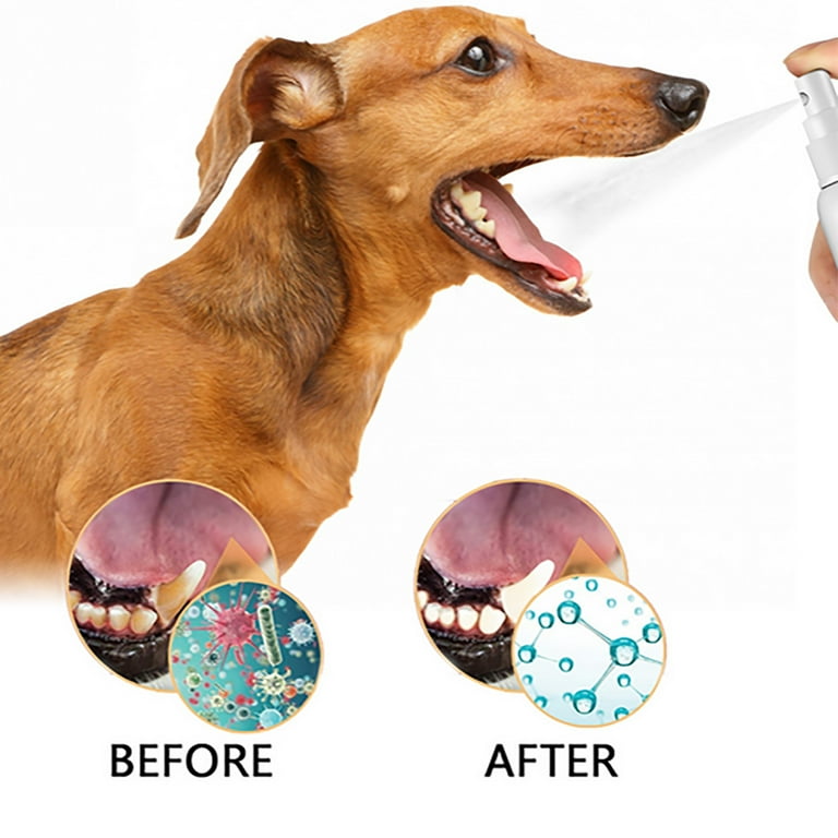 Pet Supplies For Harnesses For Small Dogs Pet Supplies plus Dog Pet Supplies Plus near Me Pet Supply plus Shop Pet Supplies For Cats Cat Litter Lunging Dog Accessories Dog Accessories 24