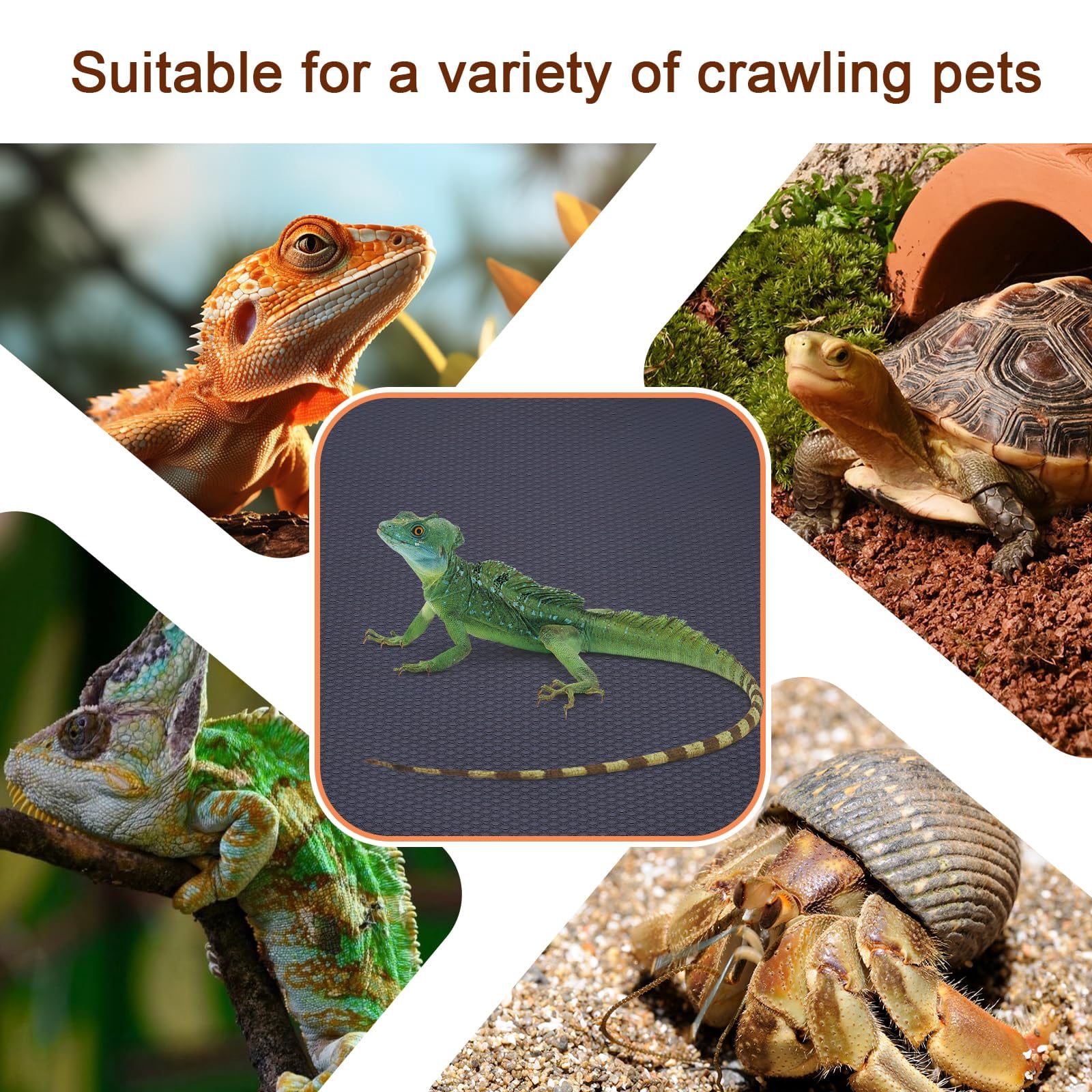 Bearded Dragon Leopard Gecko Tank Accessories, 17.7X39.3 inches Reptile Mat, Thicken Bearded Dragon Mat Flooring Carpet Substrate Bedding for Lizard, Iguana, Snake, Tortoise, Black