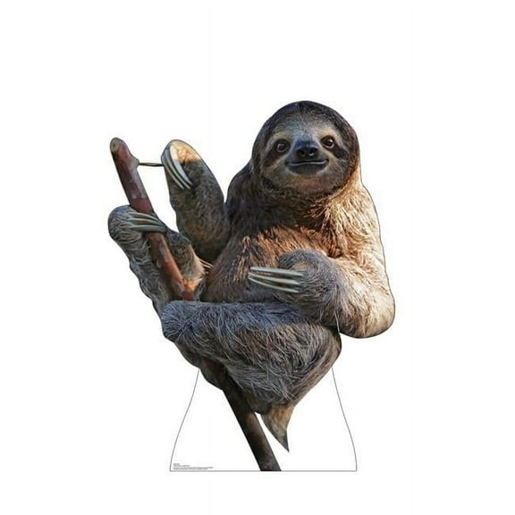 48 x 38 in. Sloth Cardboard Cutout