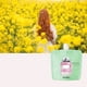 thumbnail image 5 of Loción de manos con fragancia de 30 ml, tamaño de viaje, crema hidratante nutritiva para manos, antigrietas, para manos secas y agrietadas, flor dulce, 5 of 12