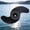 58 86 pound, variant on Zeiwohndc Universal Boat Marine Outboard Motor Propeller With Noise Reduction Technology