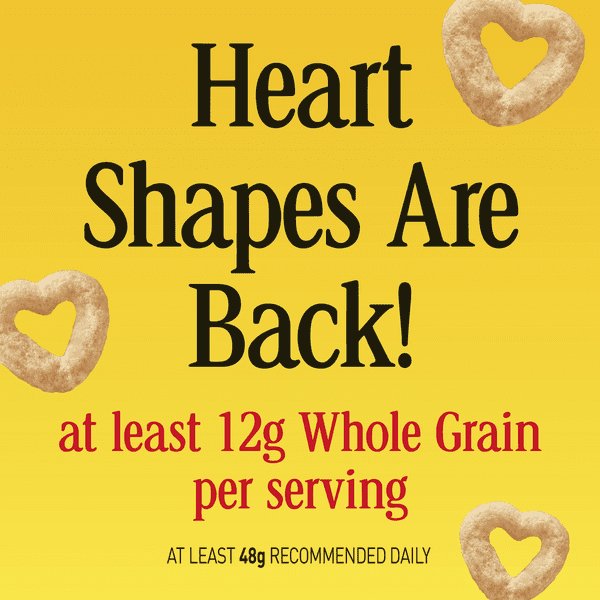 General Mills Cinnamon Cheerios Protein Family Size Cereal with pan