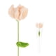 thumbnail image 1 of 1-Pack Flores de Ganchillo, Clavel de Lana Artificial Tejido a Mano [Rosa Nude], 1 of 1