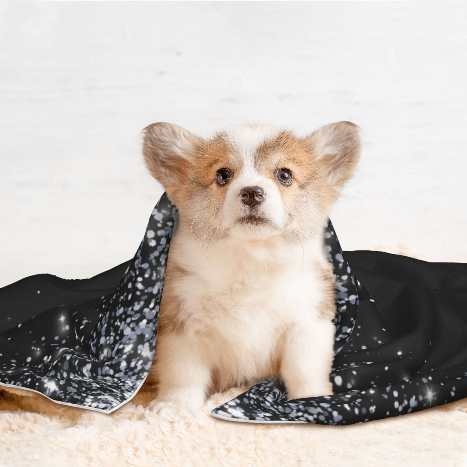 Naloa Silver Glitter1 Dog Blanket, 3 Sizes Cat Blanket for Indoor Cats Large Medium Small Dog Gifts-