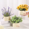 thumbnail image 3 of Billuyoard Simulación de bonsái, macetas artificiales, flores falsas, plástico, seda, cerámica, alivio de la presión, dulce regalo, plantas Decoración del hogar Tipo 2, 3 of 6