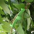 thumbnail image 2 of Esparcidores de ramas de árboles frutales ajustables, esparcidor de ramas de árboles frutales, nuevo extractor de esparcidor de ramas para dar forma, planta de bonsái, 2 of 5