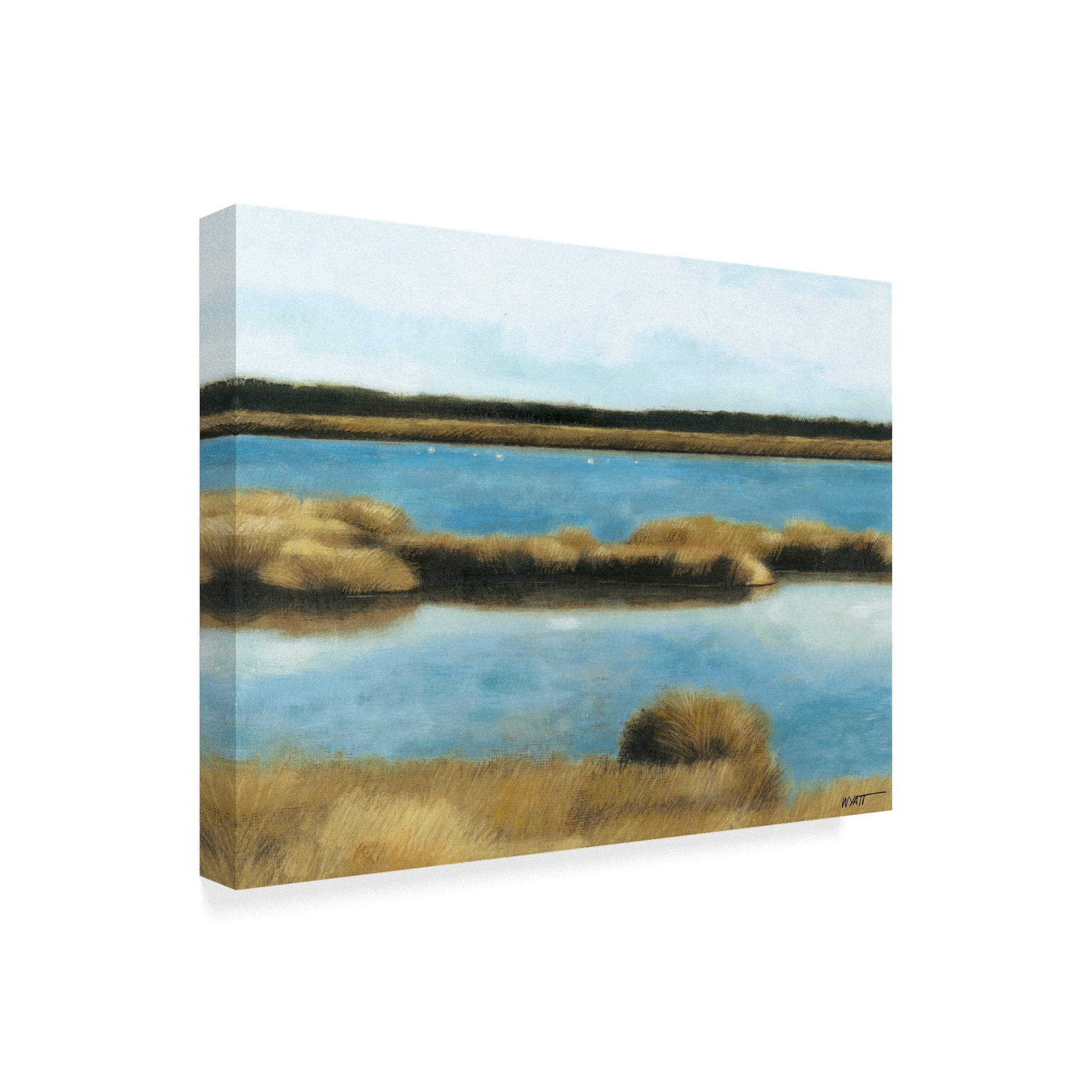 Trademark Fine Art 'Wet Lands II' Canvas Art by Norman Wyatt