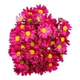 thumbnail image 4 of Bouquet de pompon mixto 10 tallos, 4 of 4