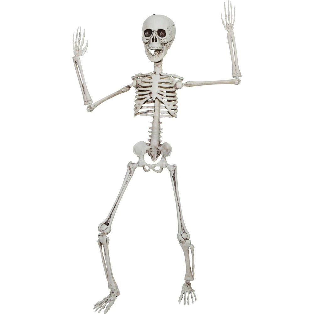 Poseable Skeleton 20in Halloween Decoration