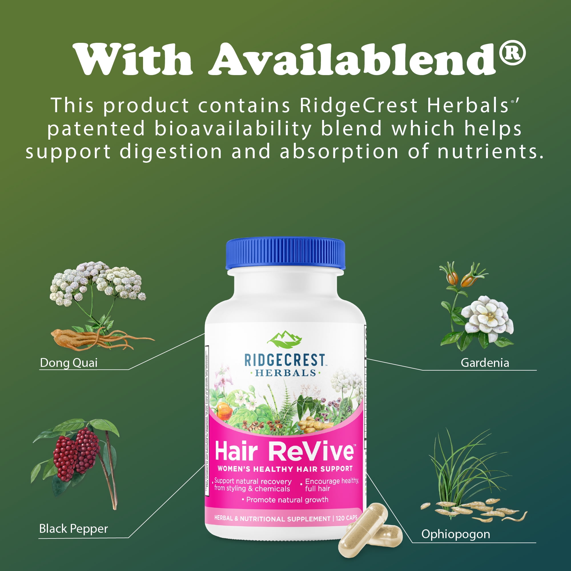 RidgeCrest Herbals Hair ReVive, Nutritional Hair Supplement with Vitamin C, Biotin, Zinc, and Copper, Hair Vitamins for Women to Support Healthy Hair, Skin, and Nails (120 Caps, 30 Serv)